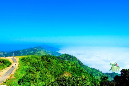 নীলগিরি