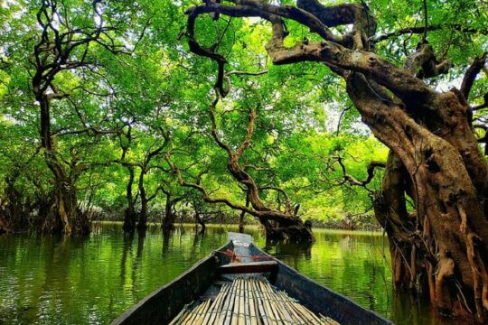 রাতারগুল