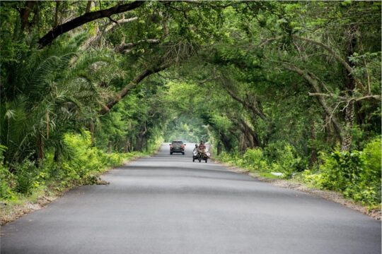 ট্রাভেল ফটোগ্রাফি
