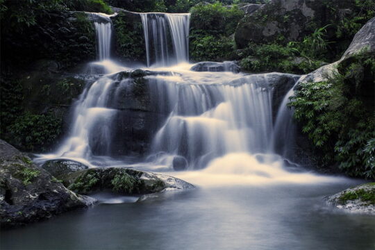 সীতাকুন্ড ইকো পার্ক