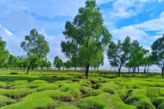 গুলিয়াখালী সমুদ্র সৈকত