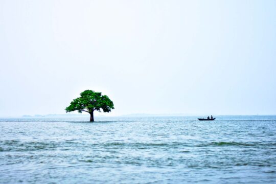 মিঠামইন হাওর