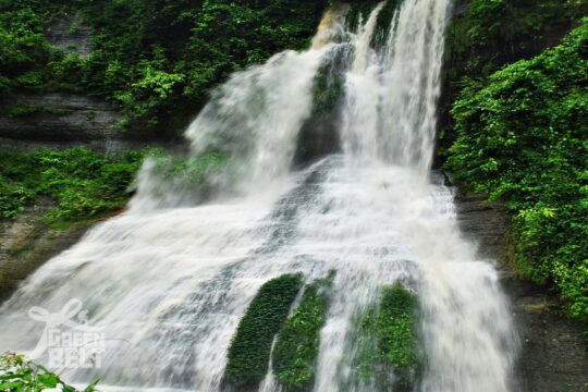 নাপিত্তাছড়া ঝর্ণা