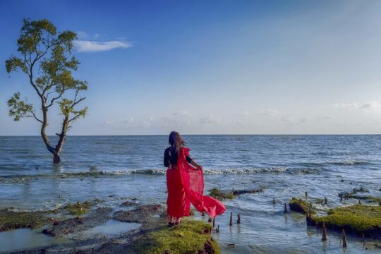 গুলিয়াখালী বিচ