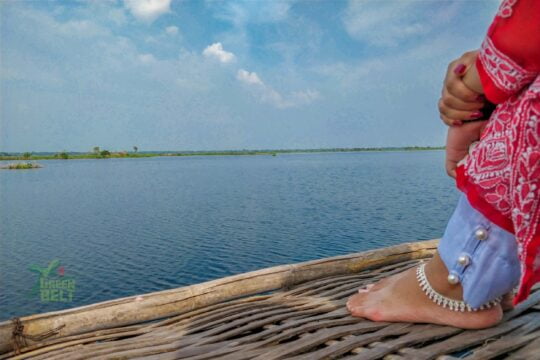 বেলাই বিল