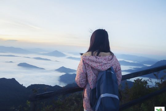 Solo Traveler