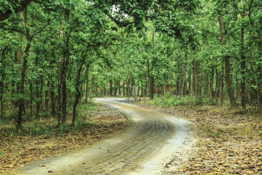 Bhawal national park